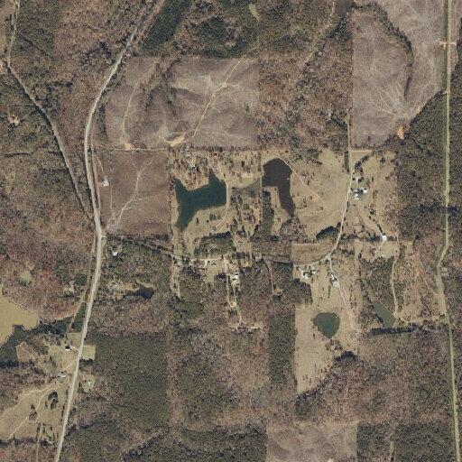 Diabetic male with low blood sugar at Coosa County Rd