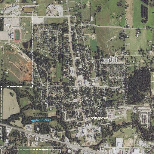 Person suffering allergic reaction near Springtown