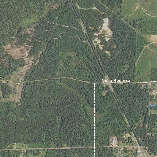 Calf reported near roadway on Highway 168