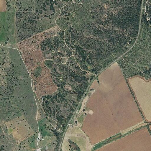 Female caller near Roach Road reports suicidal thoughts