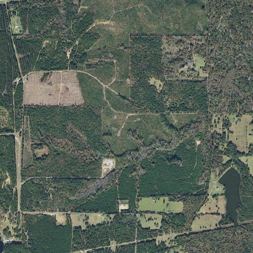 Female sick and vomiting near County Road 1125
