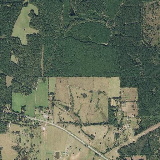 Loose bulls near Highway 49 by church