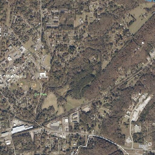 Trespassing complaint near Robert Street in Montevallo