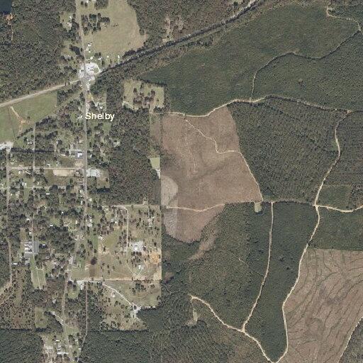 Deputy checks suspicious person on Fernbrook Lane