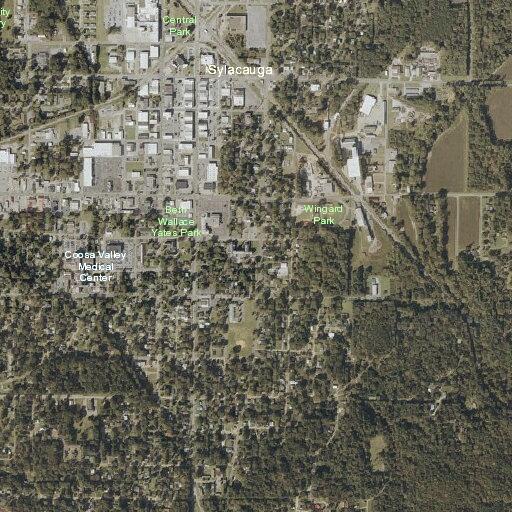 26-year-old woman having asthma attack in Sylacauga
