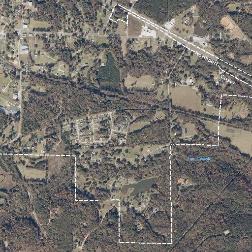 Tree debris partially cleared from roadway
