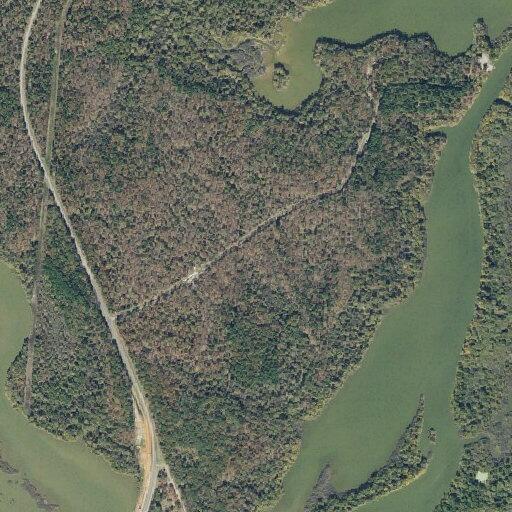Suicide attempt reported near Mauldin Lake boat ramp; subject may be in tan/gray Dodge Charger