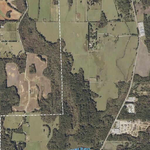 Man collapses and regains responsiveness in Harpersville