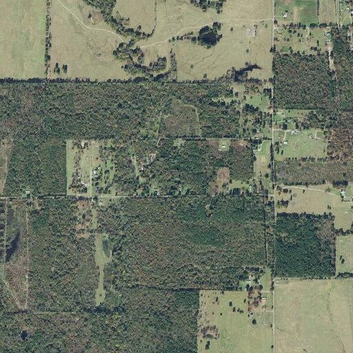 Report of stolen horse at rural residence