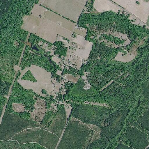 66-year-old man with right-sided headache in Blackville