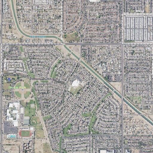 Person having allergic reaction near Mesa