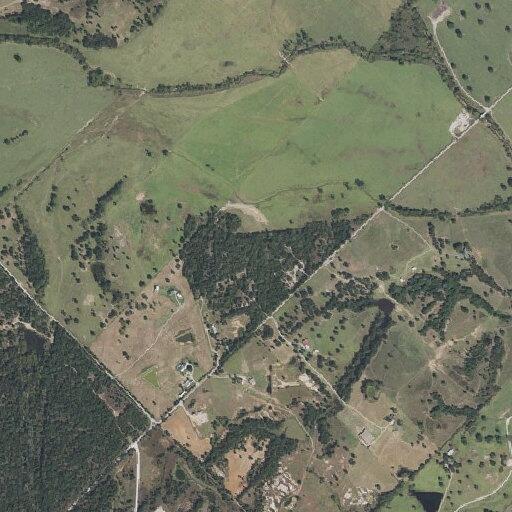 Man injured by bull suffers possible neurological issues