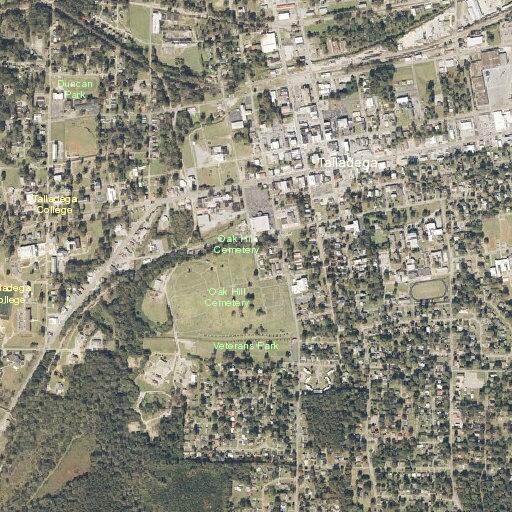 Person with broken finger near Glenwood Road in Talladega