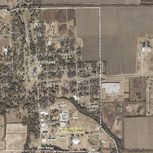 65-year-old woman fallen with possible dislocation, unresponsive