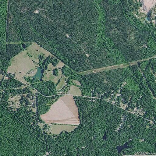 Person bleeding from hand near Halo Lane, Beech Island