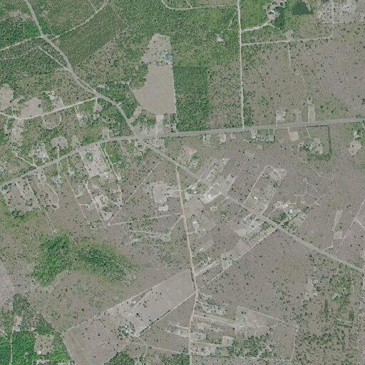 19-year-old female malnourished near Windsor