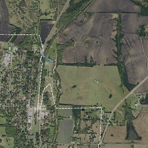 Loose dog knocking over trash in Roxton