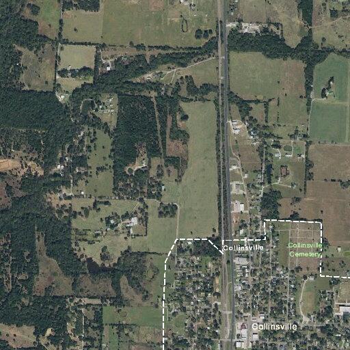 Woman having psychotic episode near Collinsville