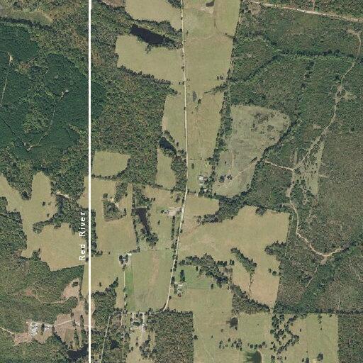 Tree blocking roadway on County Road near Avery, TX