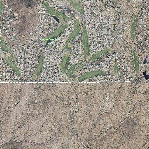 Animal issue on East Camelview Drive