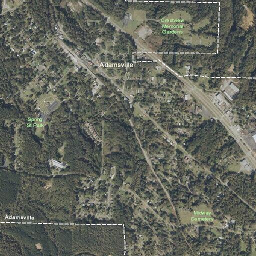 Unanswered 911 call near Basswood Drive in Adamsville