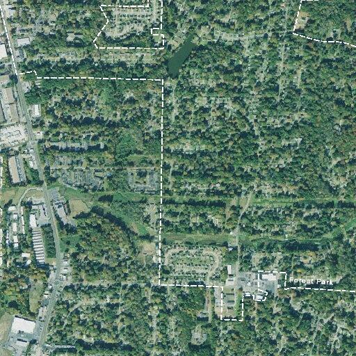 Man with broken hand near Forest Park