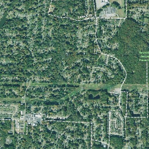 Firefighter bitten by dog near Longleaf