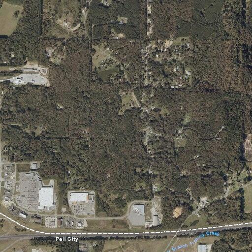 Female experiencing panic attack near Shell Lane, Pell City