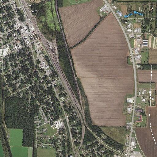 Person with back pain near Coleman Street in Bluffville