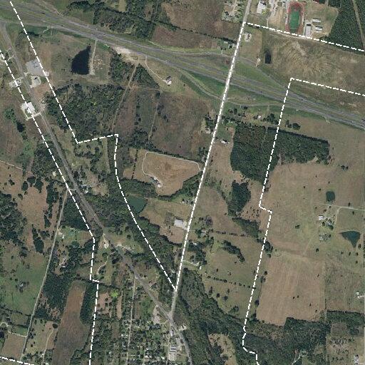 Elderly woman falls and bleeds from forehead in Bells, TX