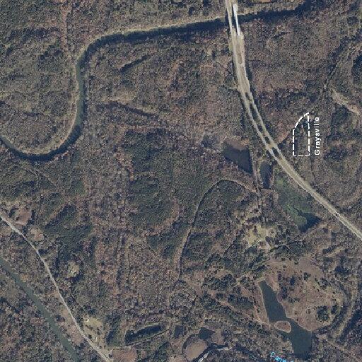 Tree blocking road on Old Highway 78