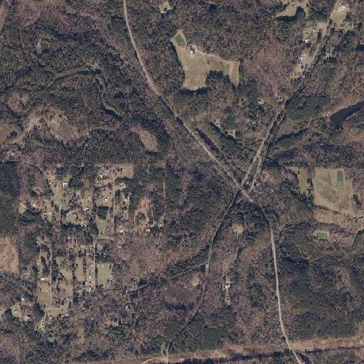 Request to check on cats near Blueberry Lane