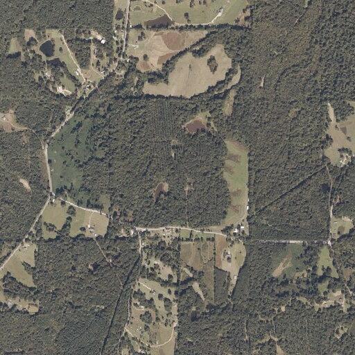 Medical issue reported on Child's Road with animal concerns