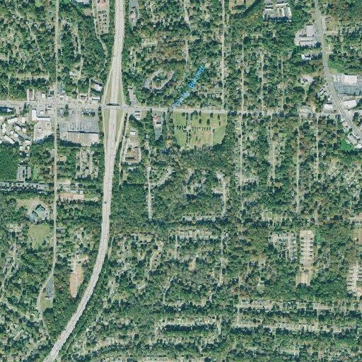 Person sick near Lindsey Drive in Decatur