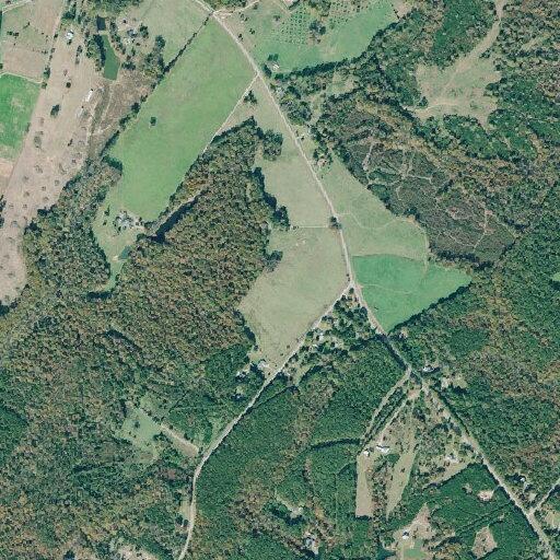 Woman dizzy with shortness of breath near Salem Road