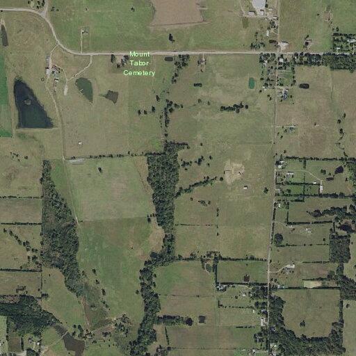 Amazon driver bitten by dogs near Lamar County