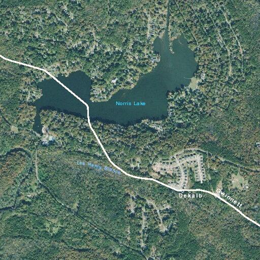 Person experiencing psychiatric emergency near Snellville