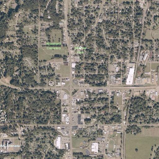 Search for missing child near Van Dorn Street