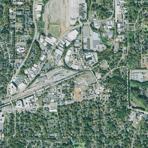 Person with leg pain reported near North Avondale Road