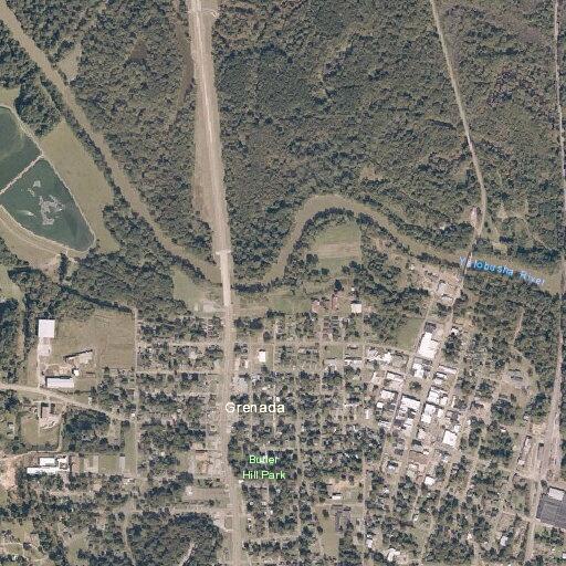 Female fallen and needs help near South Main Street