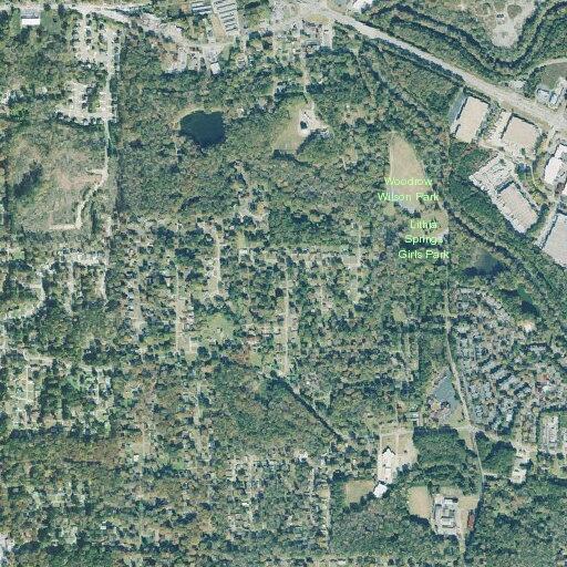 Person sick near Skyview Drive in Lithia Springs