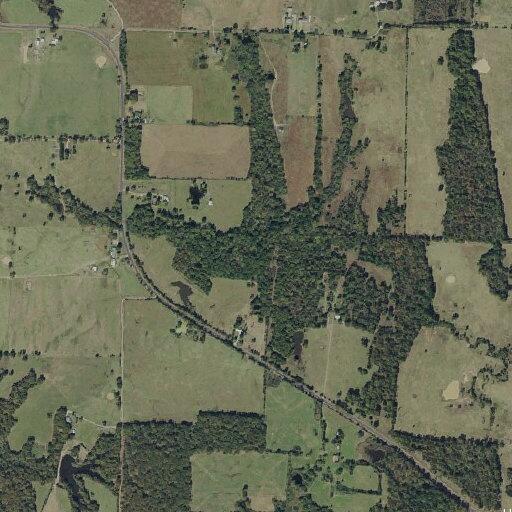 Tree blocking half of road on FM 79 S curve