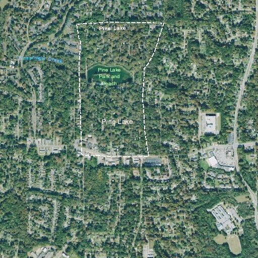 Person sick near Pine Drive