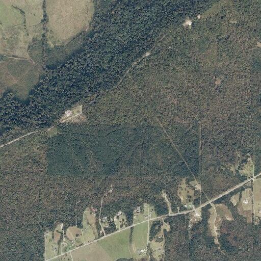 60-year-old woman possibly having seizure on Shoal Creek Rd