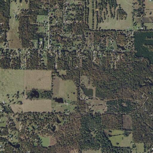 Person found unconscious near County Road (number withheld) in Lamar County