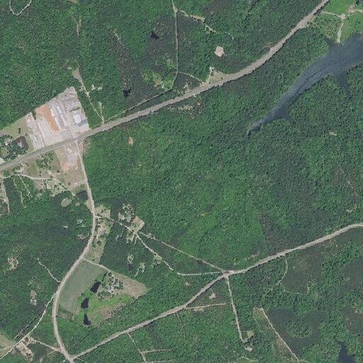 43-year-old irate female near Fortson Road