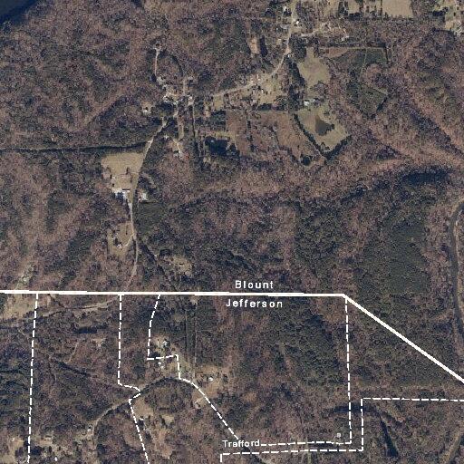 83-year-old male breathing but unresponsive at home