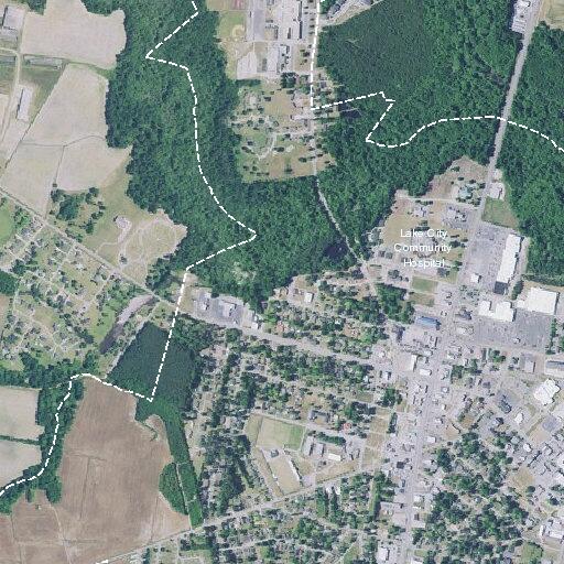 Person fell near Gaddy Street in Lake City