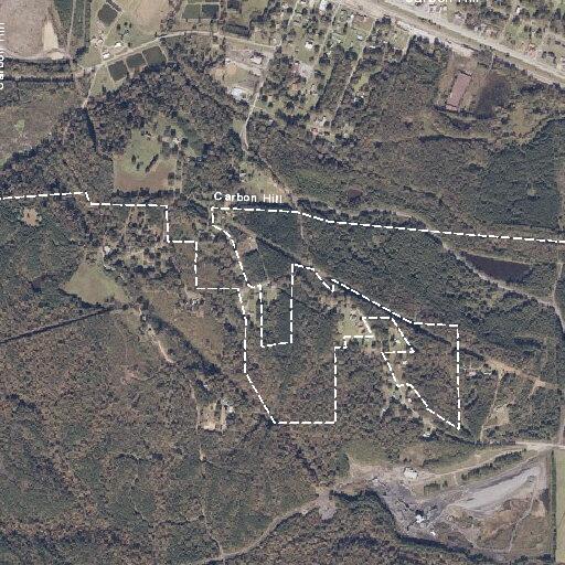 71-year-old woman with respiratory distress in Carbon Hill