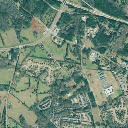 Woman with back and shoulder pain near Livingston Trail